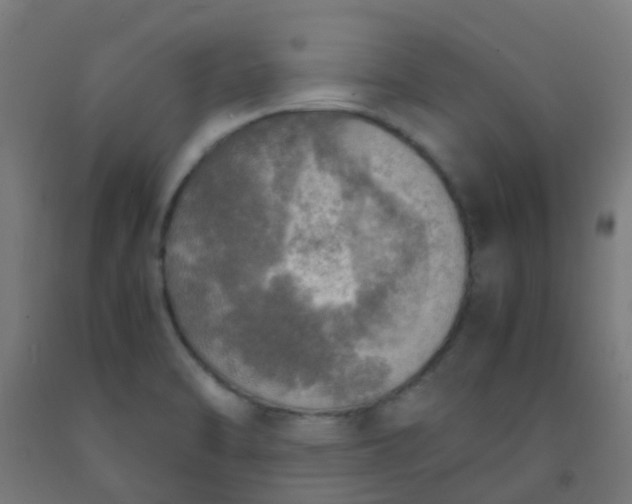 X0000092331470200709281416