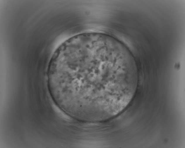 X0000092331471200709281416