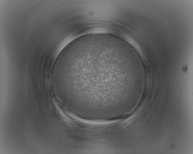 X0000092331473200709281416