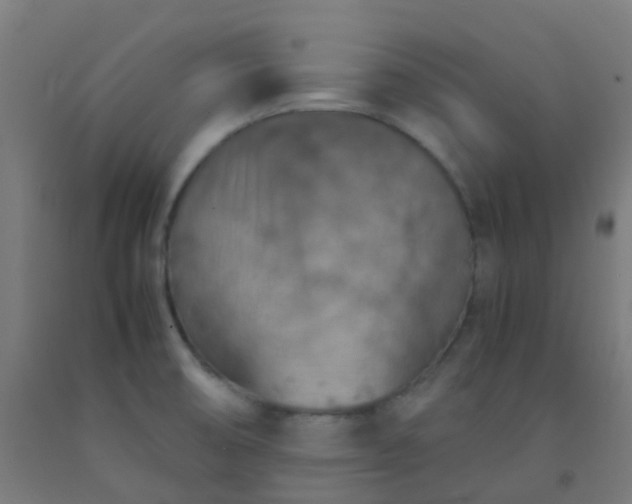 X0000092331474200709281416