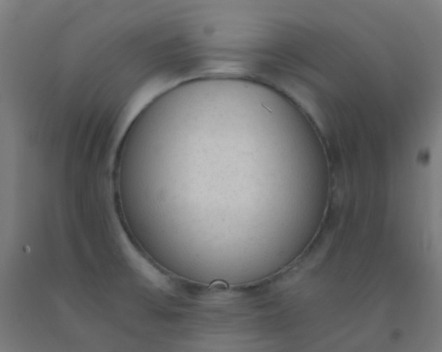 X0000092331475200709281416