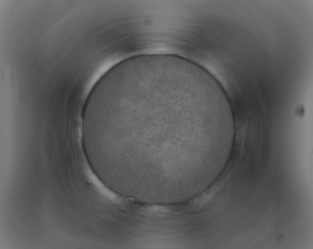 X0000092331476200709281416