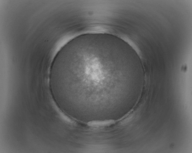 X0000092331477200709281416