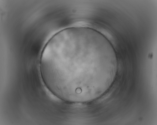X0000092331478200709281416