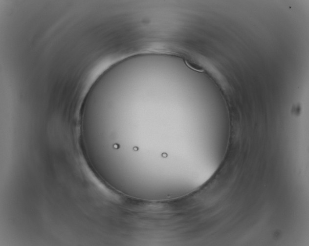 X0000092331479200709281416