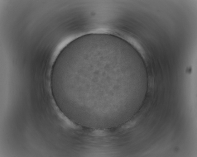 X0000092331480200709281416