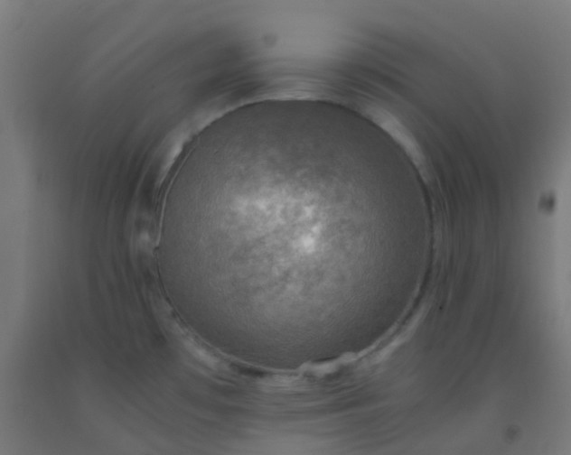 X0000092331481200709281416