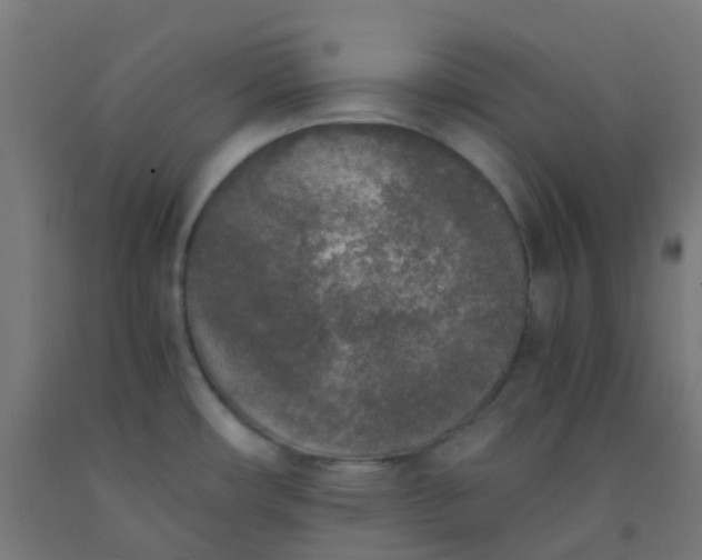 X0000092331482200709281416