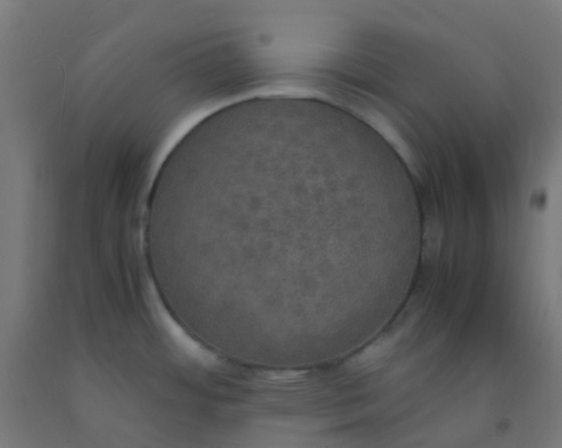 X0000092331484200709281416