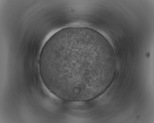 X0000092331486200709281416