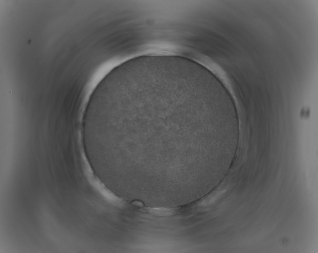 X0000092331488200709281416