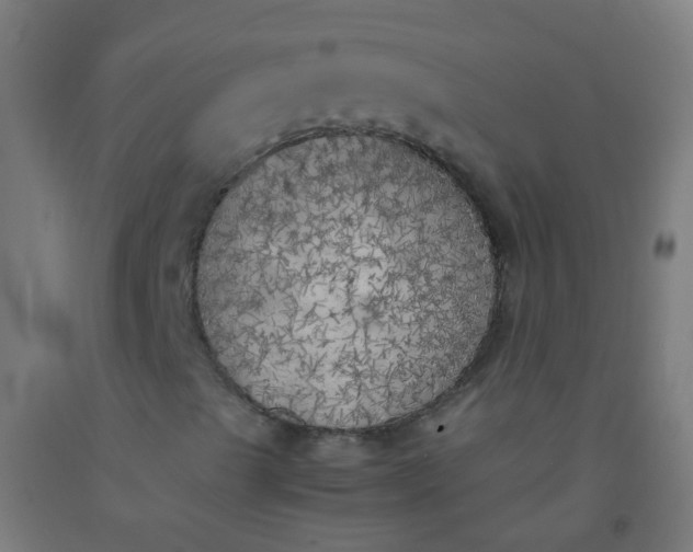 X0000092331489200709281416