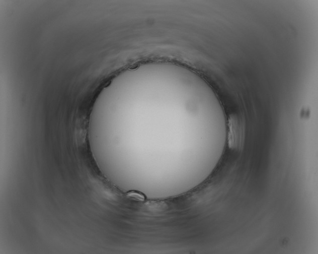 X0000092331491200709281416