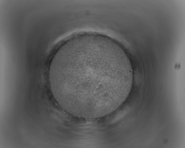 X0000092331494200709281416