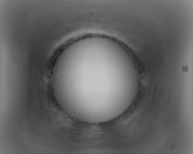 X0000092331495200709281416