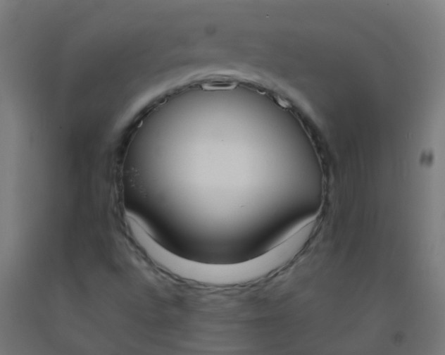 X0000092331496200709281416