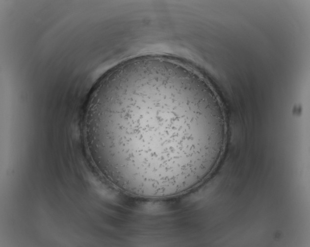 X0000092331497200709281416