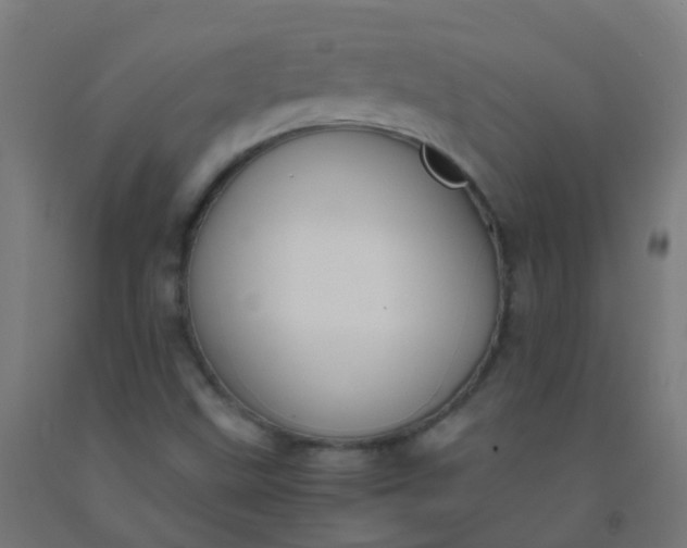 X0000092331499200709281416