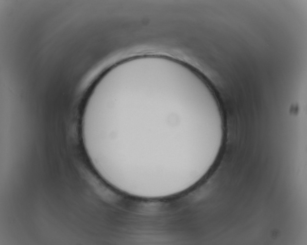 X0000092331502200709281416