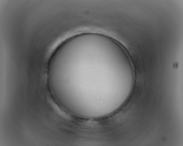 X0000092331503200709281416