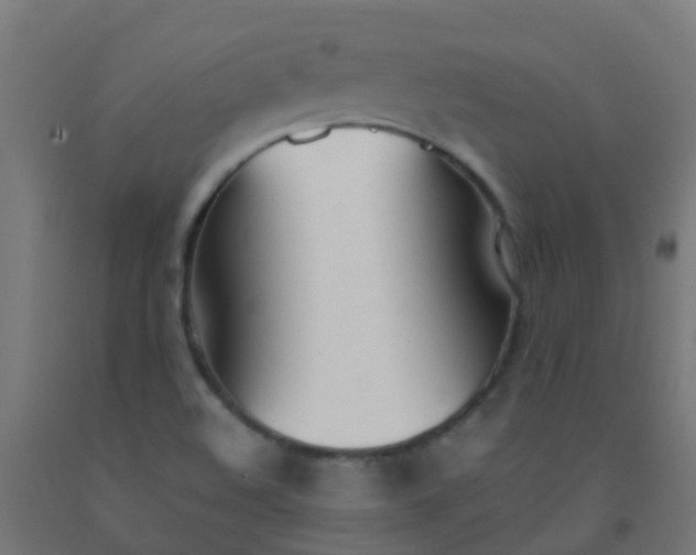 X0000092331508200709281416