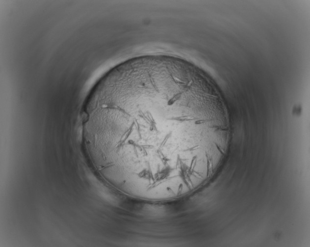 X0000092331509200709281416
