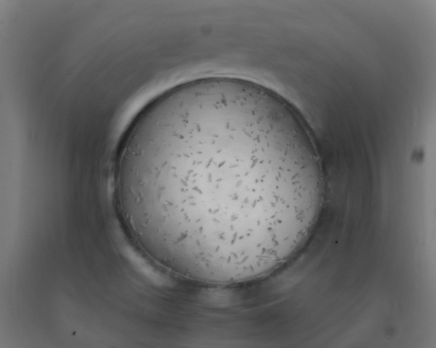 X0000092331511200709281416