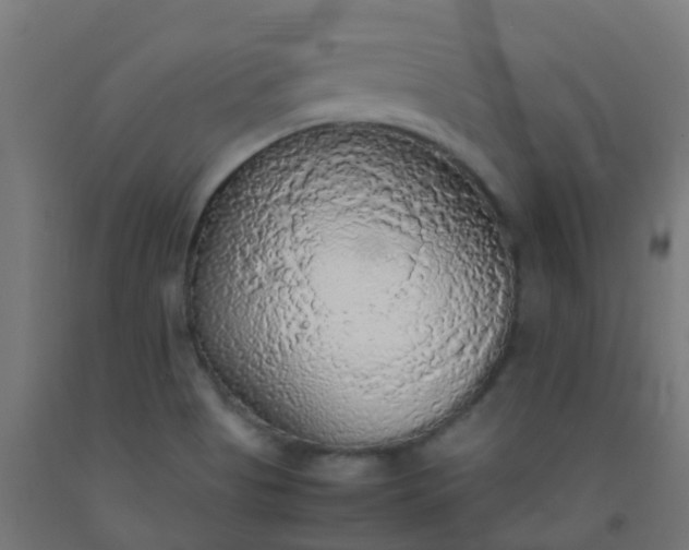 X0000092331513200709281416