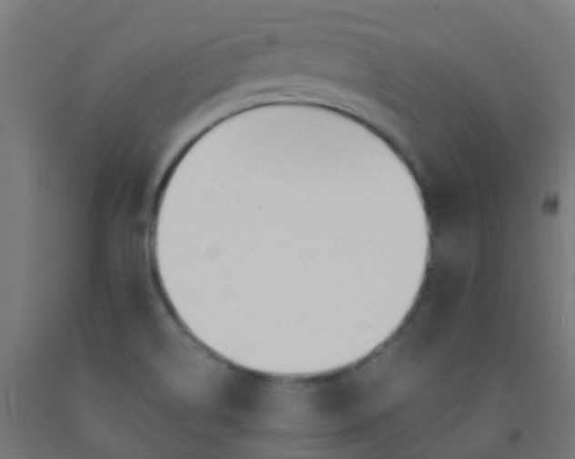 X0000092331514200709281416