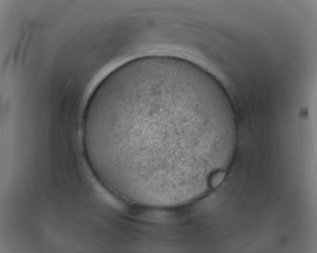 X0000092331517200709281416