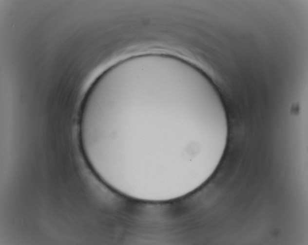 X0000092331518200709281416