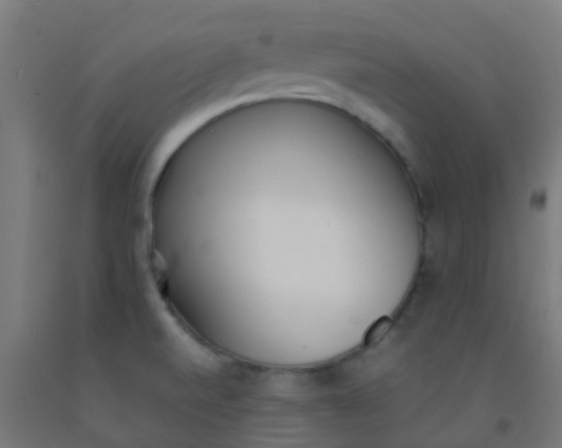 X0000092331520200709281416