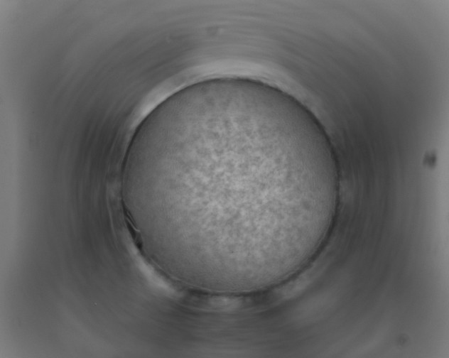 X0000092331521200709281416