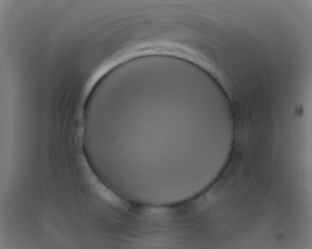 X0000092331522200709281416