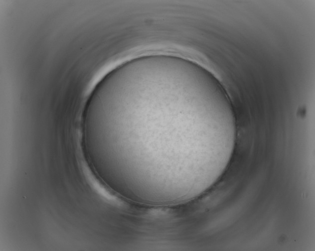 X0000092331523200709281416