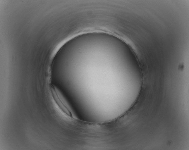X0000092331524200709281416