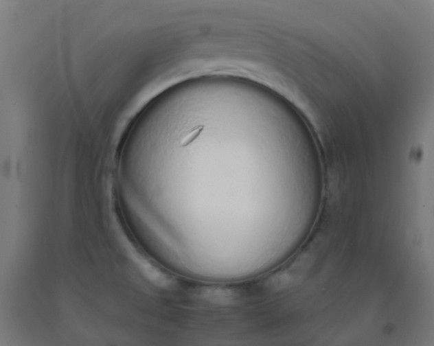 X0000092331525200709281416