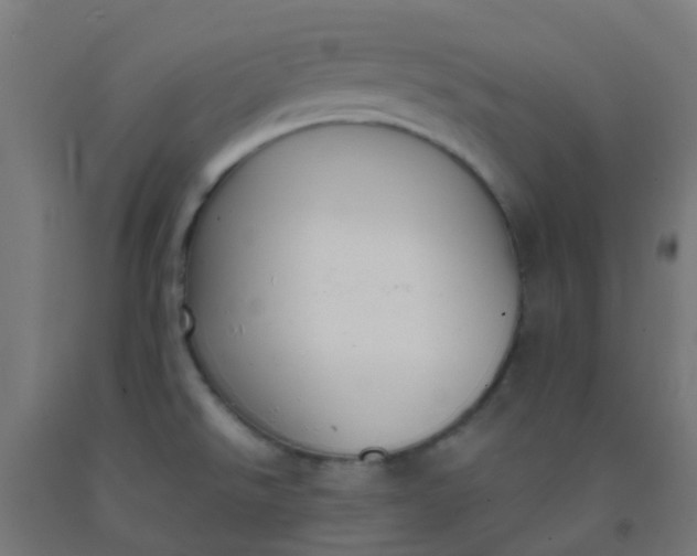 X0000092331526200709281416