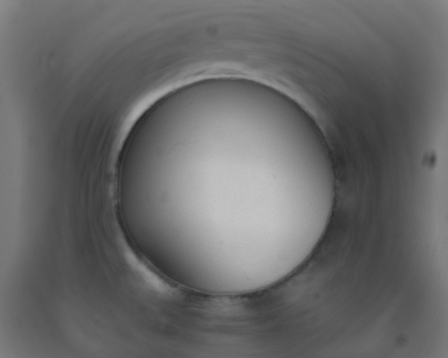 X0000092331527200709281416