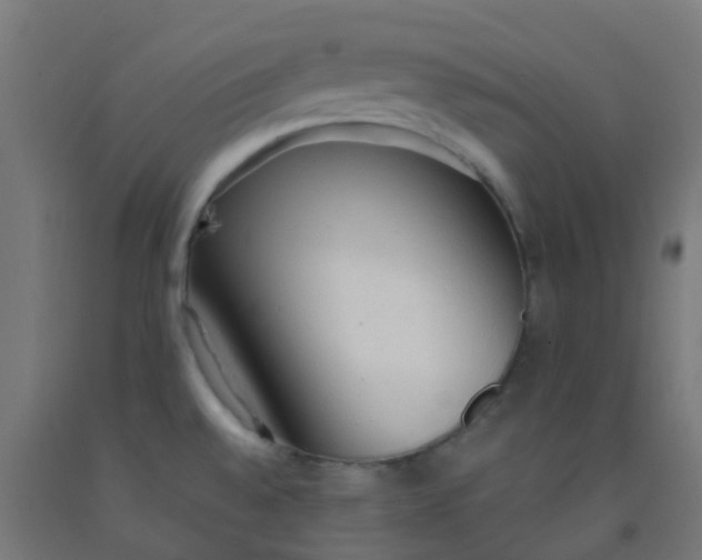 X0000092331528200709281416