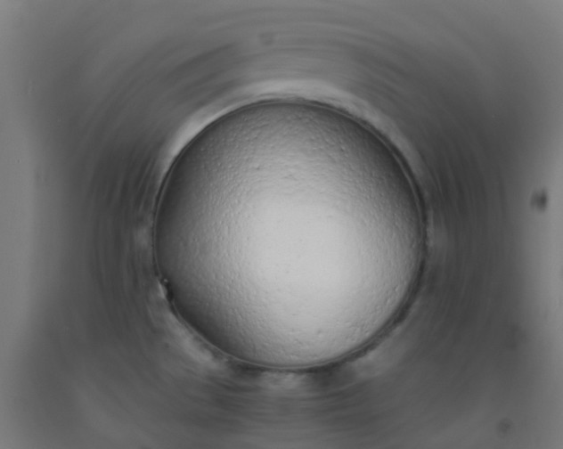 X0000092331529200709281416