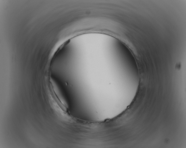 X0000092331530200709281416