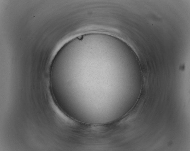 X0000092331531200709281416