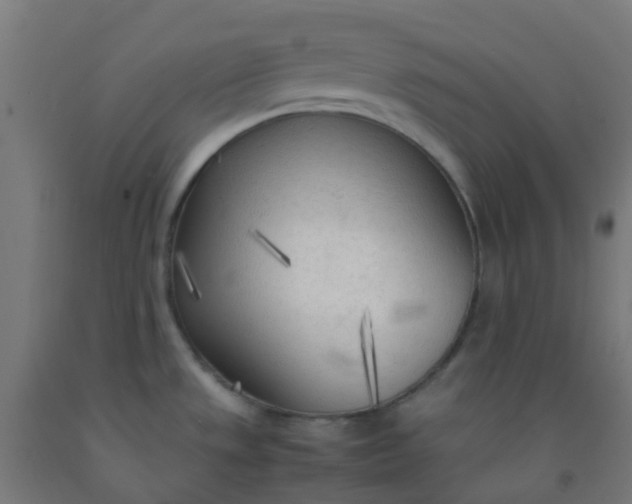X0000092331533200709281416