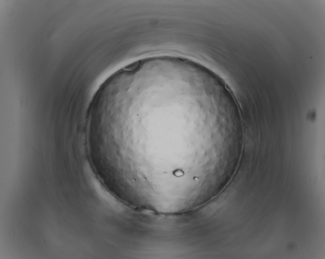 X0000092331534200709281416