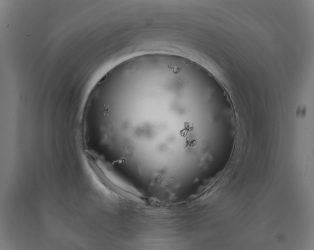 X0000092331536200709281416
