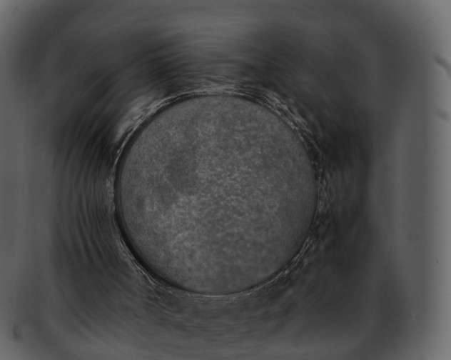 X0000092330002200710051323