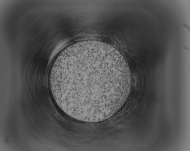 X0000092330004200710051323