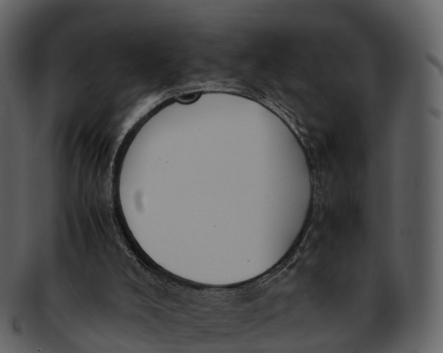 X0000092330008200710051323