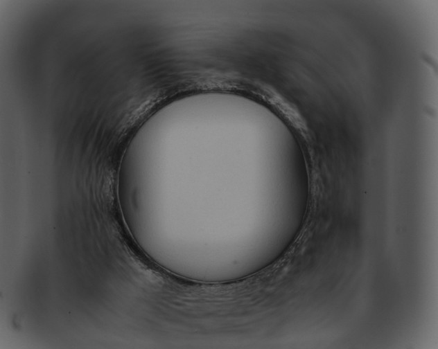 X0000092330009200710051323